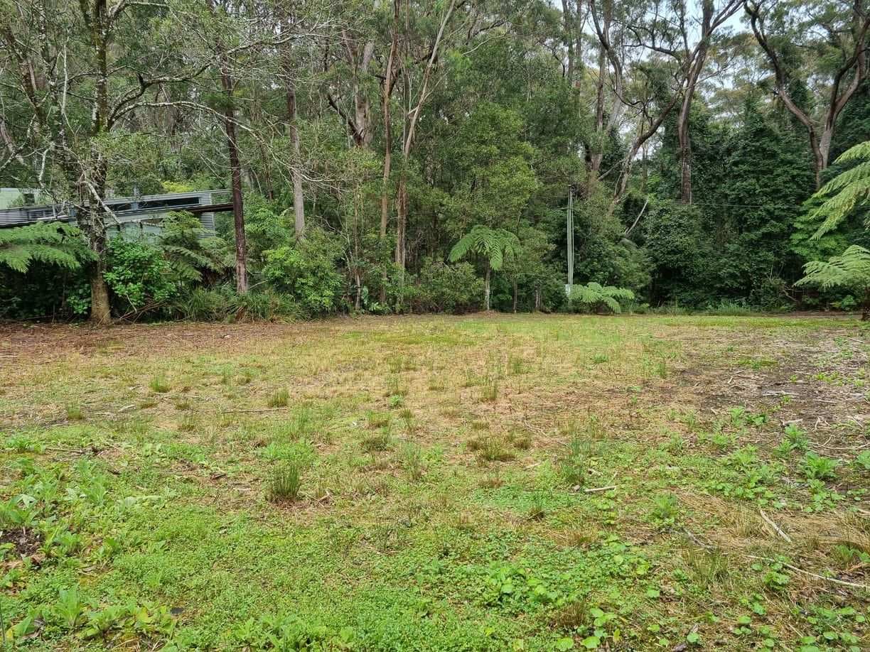 13 Banksia Road, Springbrook, QLD 4213, Springbrook - Image 1