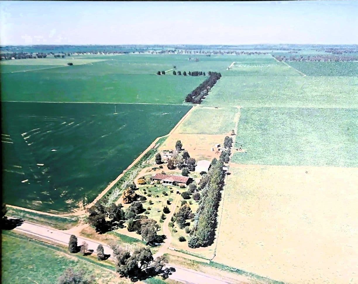 1063 Old Forbes Road, Young, NSW 2594, Young - Image 1