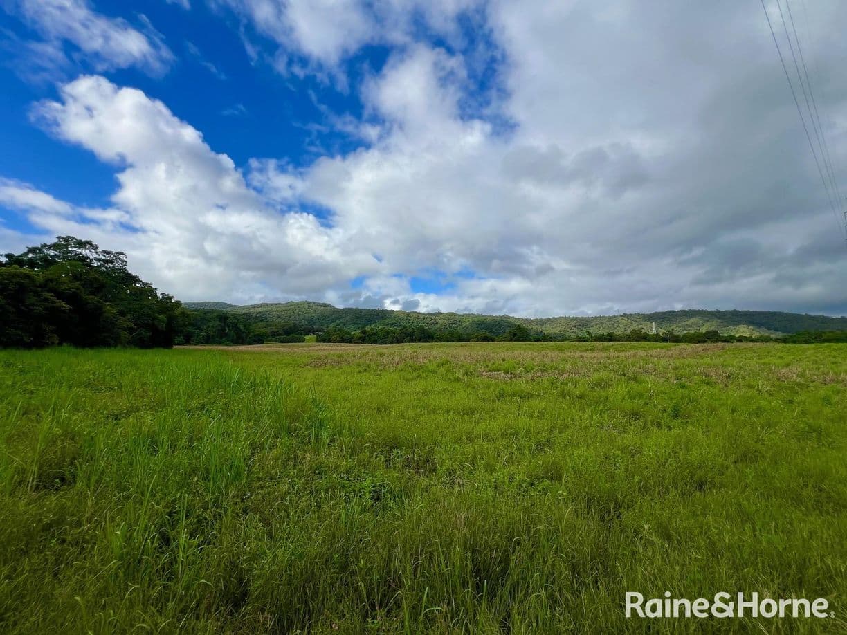 217 Cassowary Road, Cassowary, QLD 4873, Cassowary - Image 1