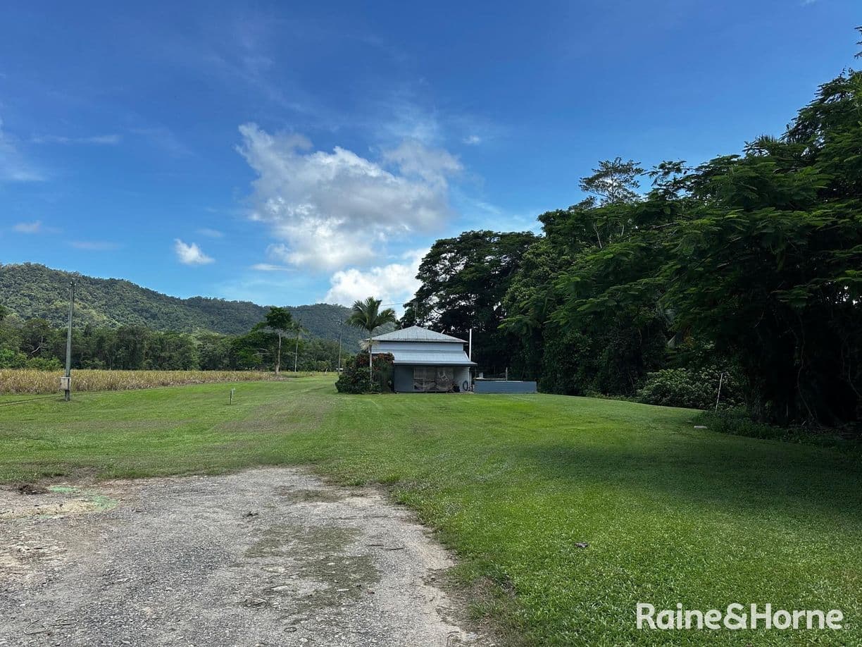 217 Cassowary Road, Cassowary, QLD 4873, Cassowary - Thumbnail 2
