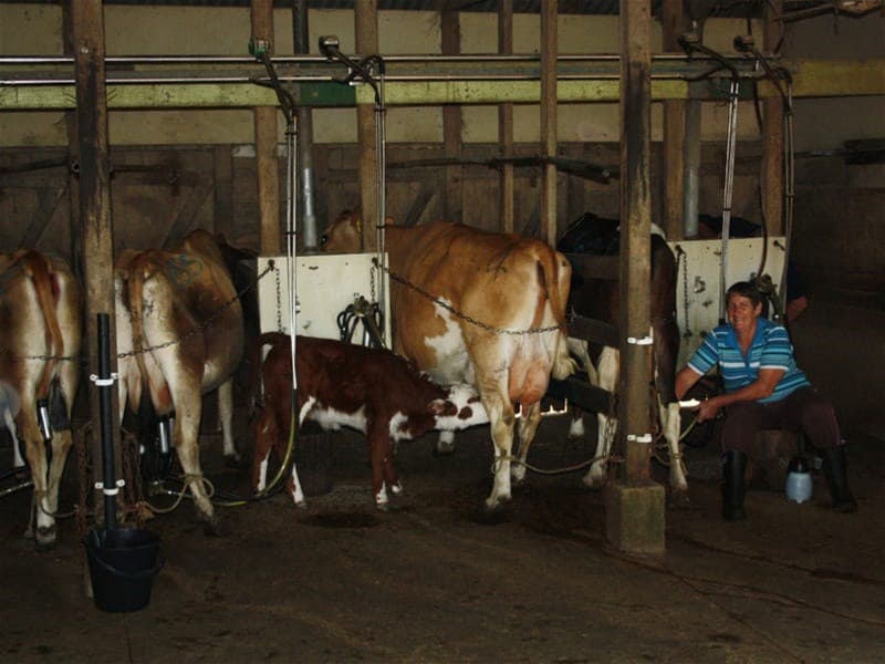 14-126 Sellin Road MOUNT MEE, QLD, Mount Mee - Thumbnail 2