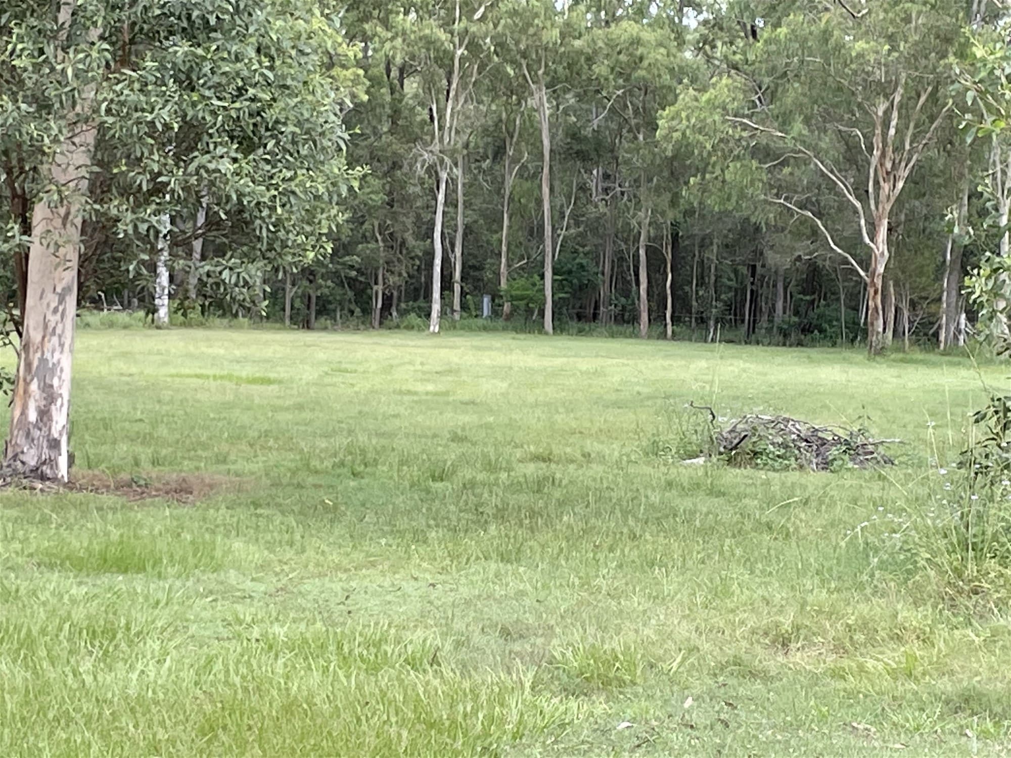 5.9 ACRES IN PRIME LOCATION, ZONED EMERGING COMMUNITY WITH A 3 BEDROOMS HOUSE!
                                
                                    465-483 Middle Road GREENBANK QLD, Greenbank - Thumbnail 8