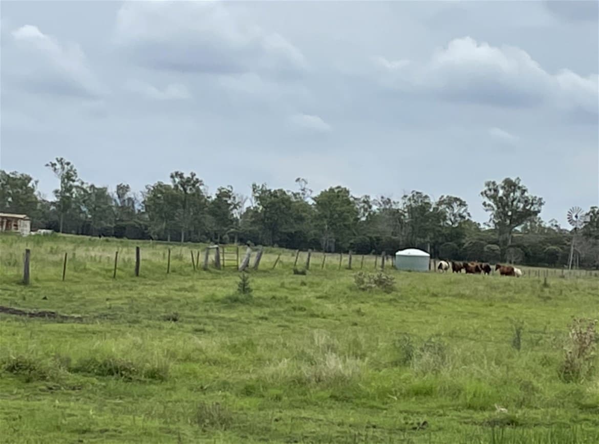 92-202 Pampling Road PEAK CROSSING, QLD, Peak Crossing - Thumbnail 8