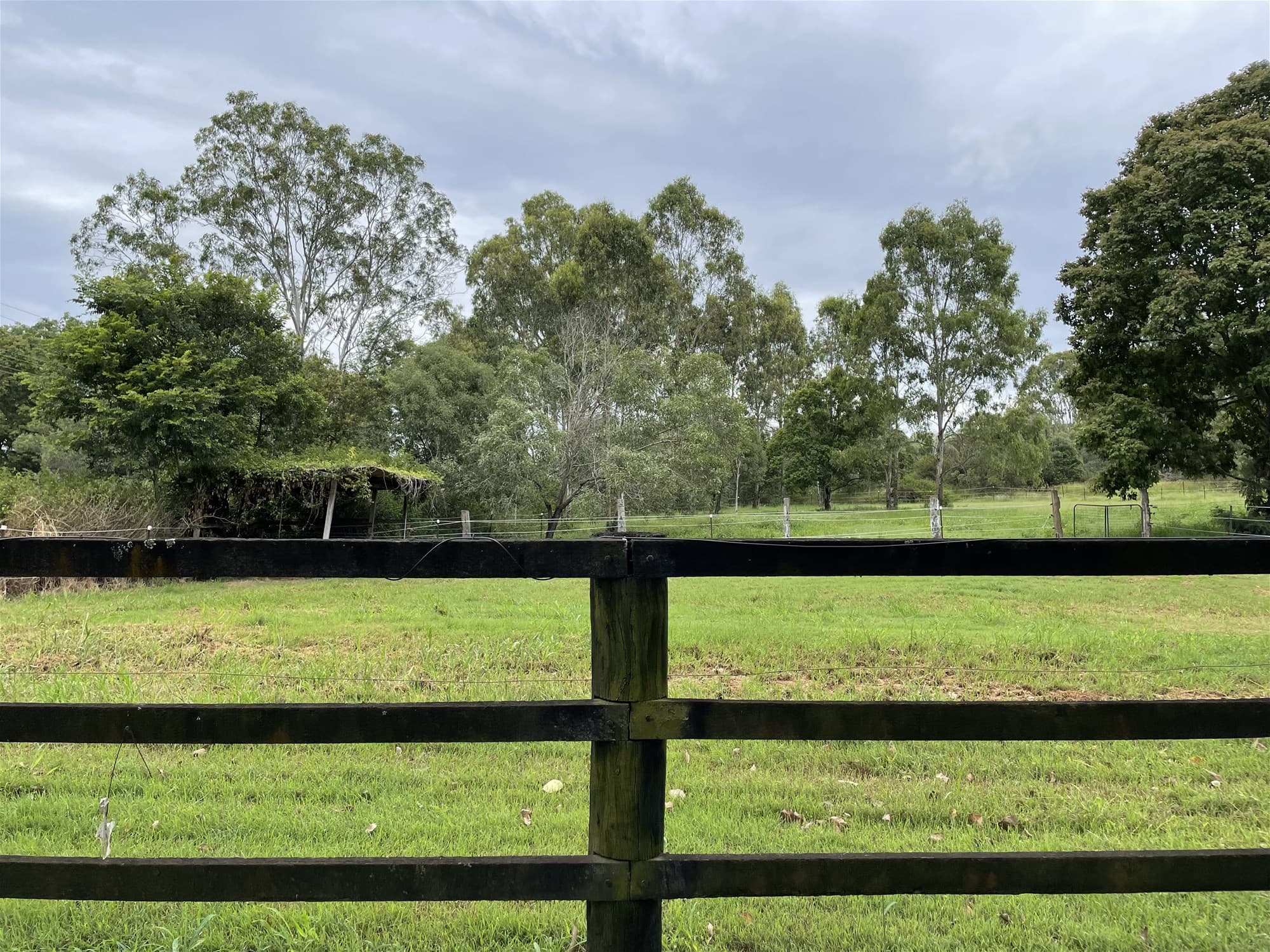 5.43  Acres  Flood Free Prime Vacant Land!
                                
                                    15-43 Twilight Court BUCCAN QLD, Buccan - Image 1