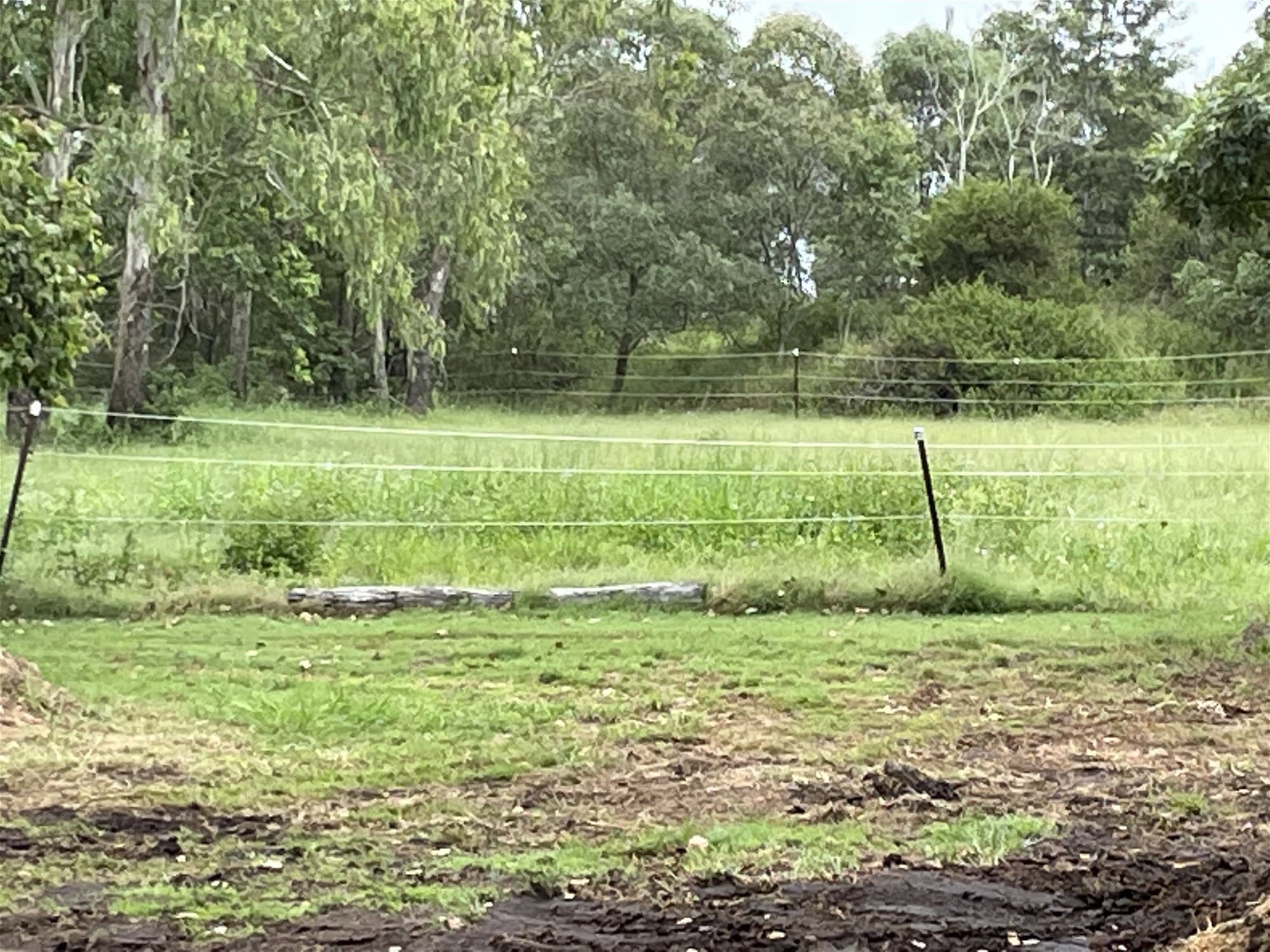 5.43  Acres  Flood Free Prime Vacant Land!
                                
                                    15-43 Twilight Court BUCCAN QLD, Buccan - Thumbnail 3