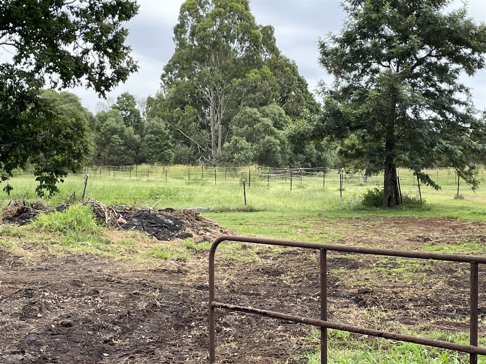 5.43  Acres  Flood Free Prime Vacant Land!
                                
                                    15-43 Twilight Court BUCCAN QLD, Buccan - Thumbnail 4