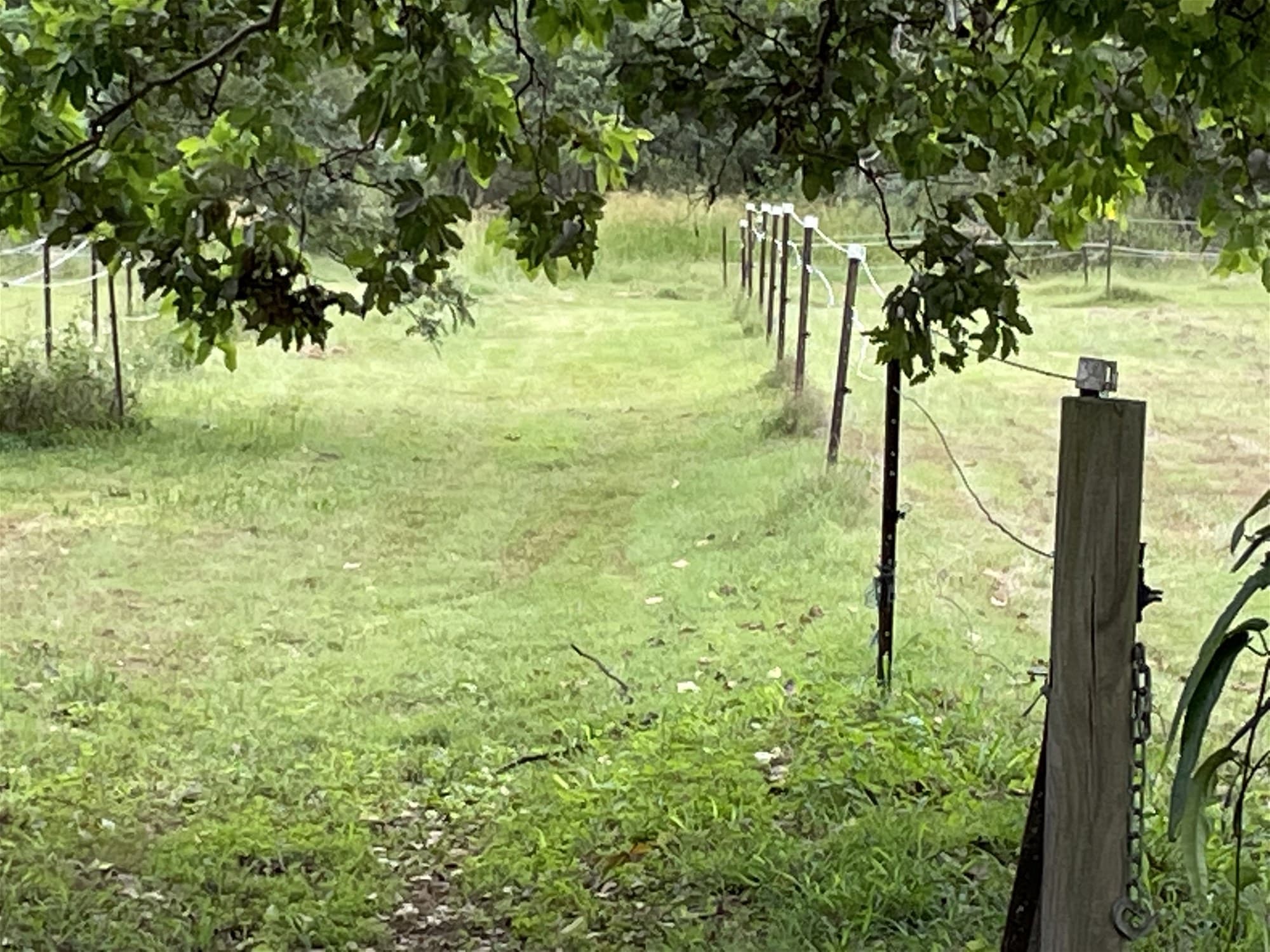 5.43  Acres  Flood Free Prime Vacant Land!
                                
                                    15-43 Twilight Court BUCCAN QLD, Buccan - Thumbnail 6