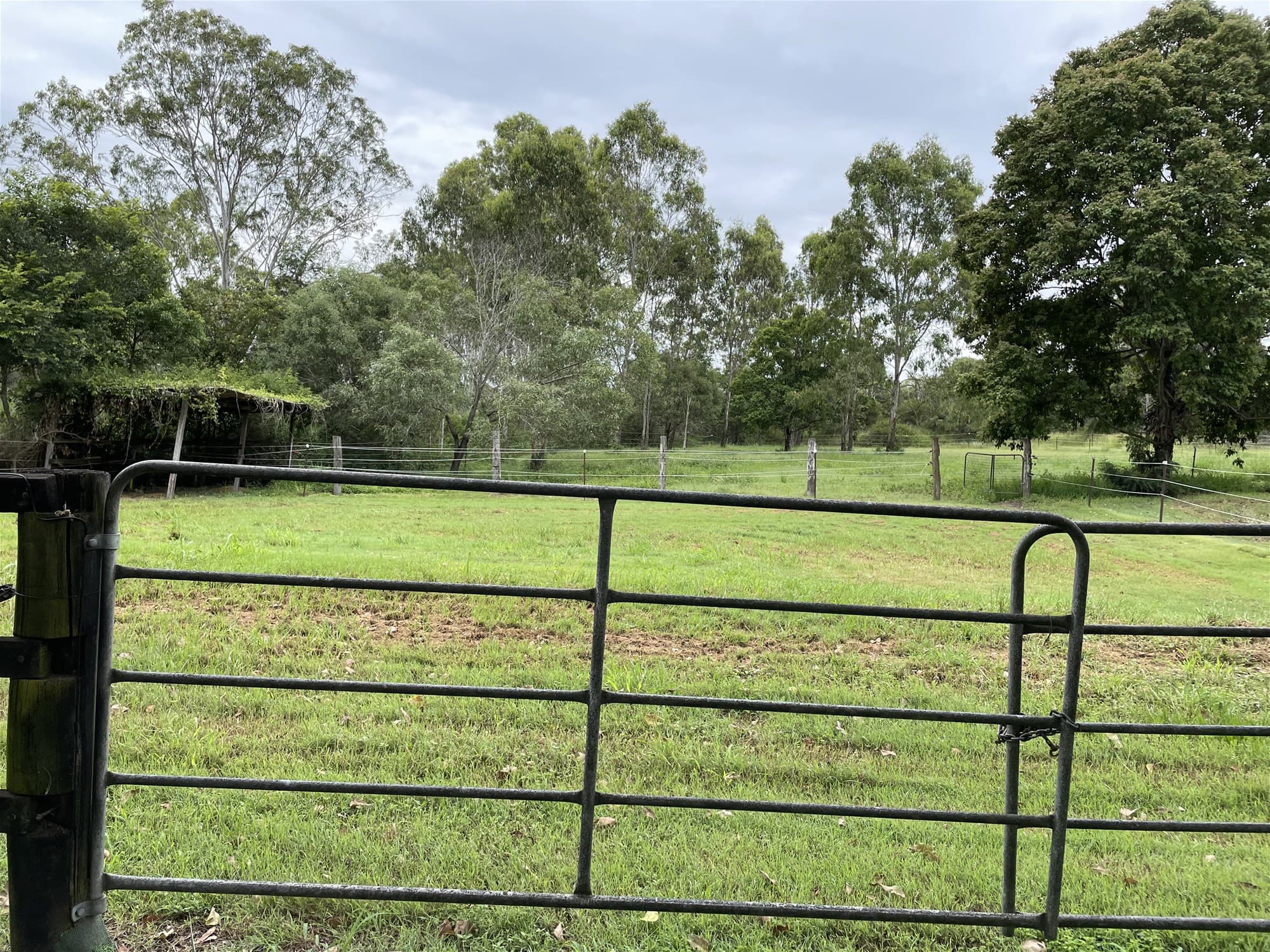5.43  Acres  Flood Free Prime Vacant Land!
                                
                                    15-43 Twilight Court BUCCAN QLD, Buccan - Thumbnail 7