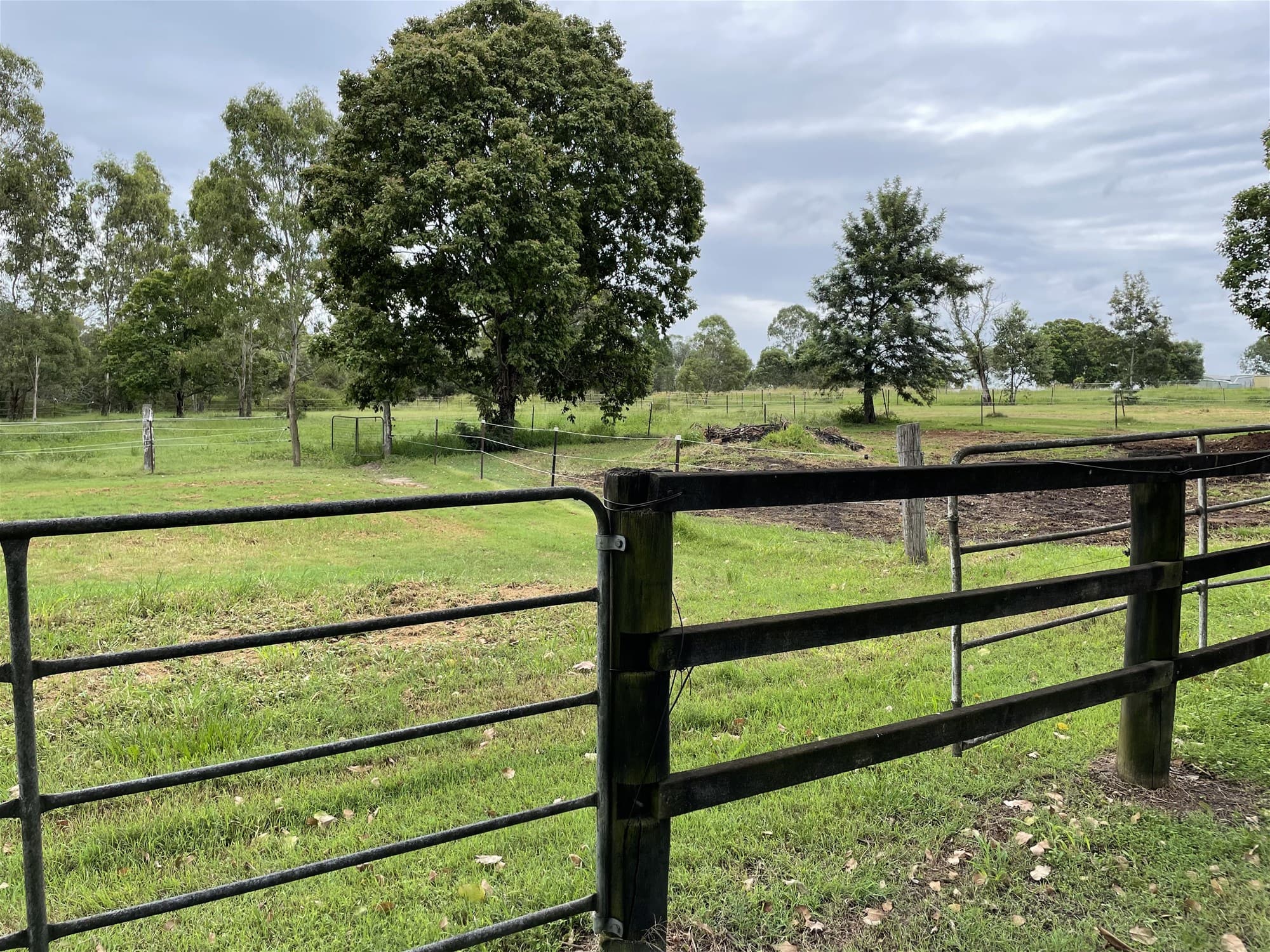 5.43  Acres  Flood Free Prime Vacant Land!
                                
                                    15-43 Twilight Court BUCCAN QLD, Buccan - Thumbnail 8