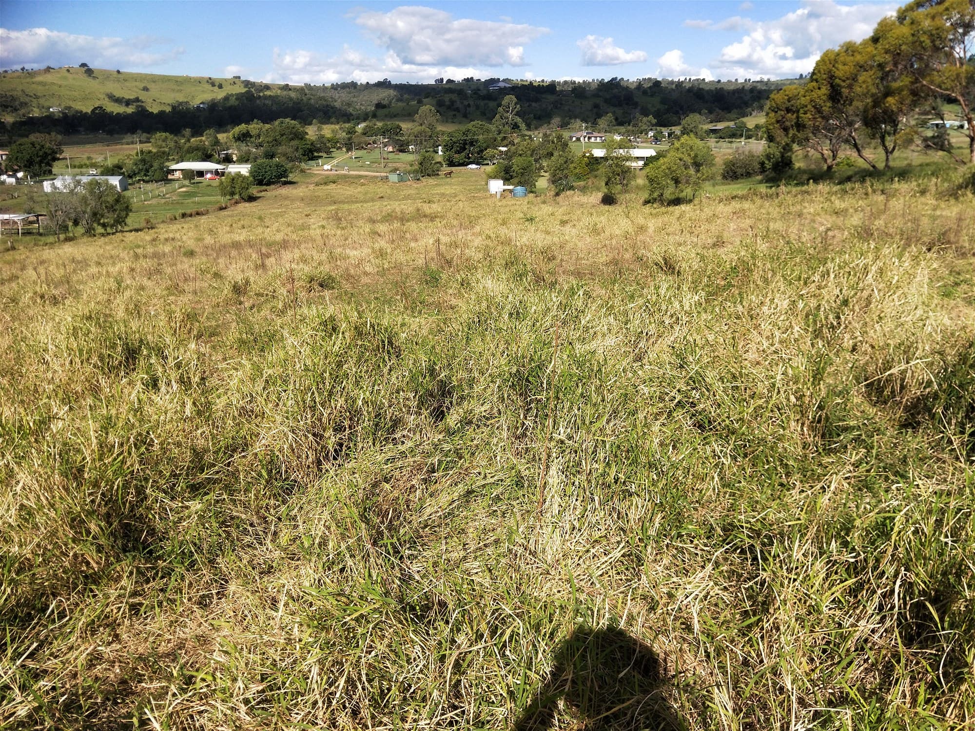 5 Narelle Court PLAINLAND, QLD, Plainland - Thumbnail 5