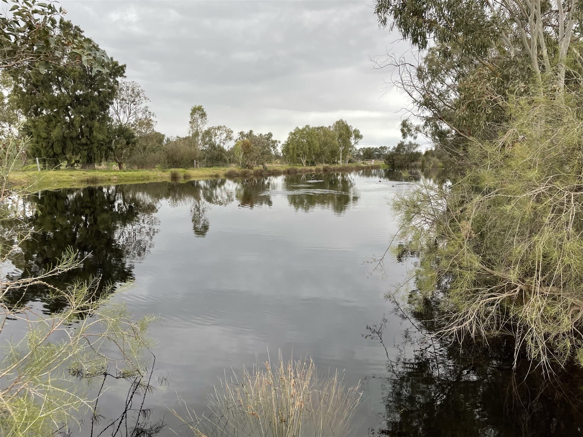 56 Pug Road BALDIVIS, WA, Baldivis - Image 1