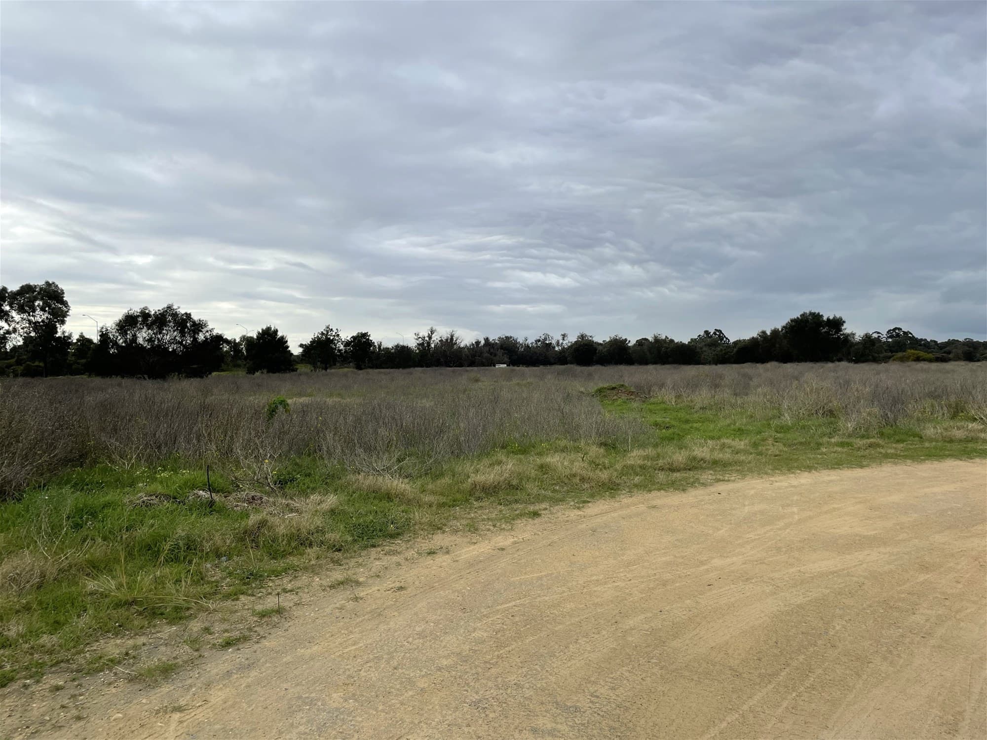 56 Pug Road BALDIVIS, WA, Baldivis - Thumbnail 7