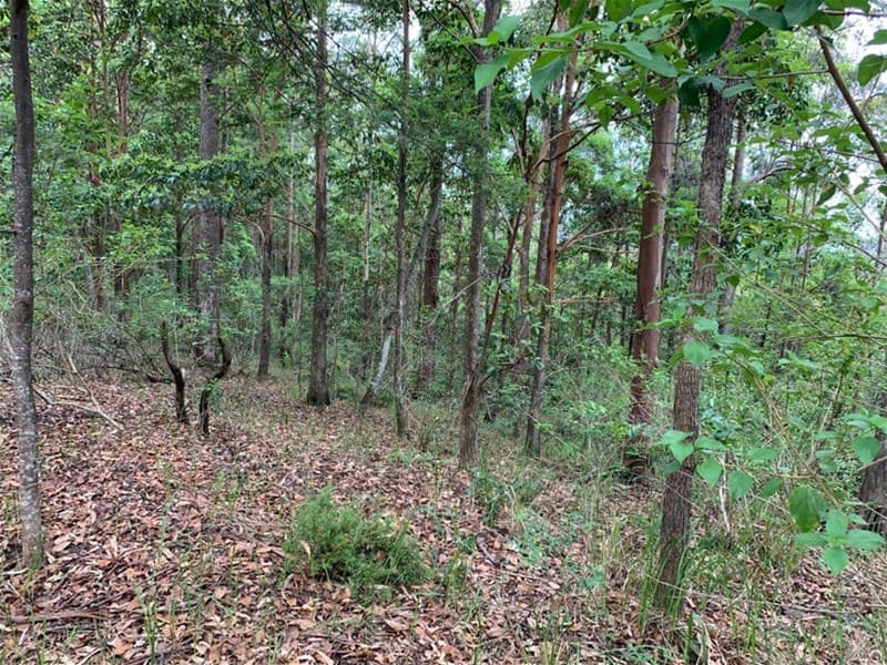 92 Hewitt Road MOUNT MEE, QLD, Mount Mee - Thumbnail 4