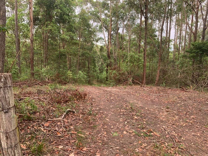 92 Hewitt Road MOUNT MEE, QLD, Mount Mee - Thumbnail 5