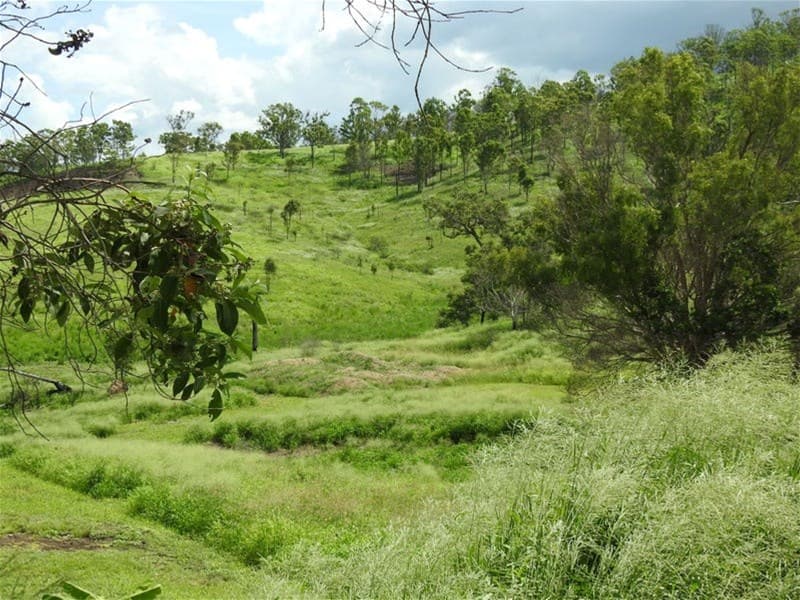 1726 Neurum Road VILLENEUVE, QLD, Villeneuve - Thumbnail 3