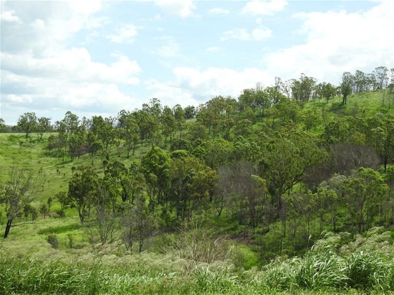 1726 Neurum Road VILLENEUVE, QLD, Villeneuve - Thumbnail 8