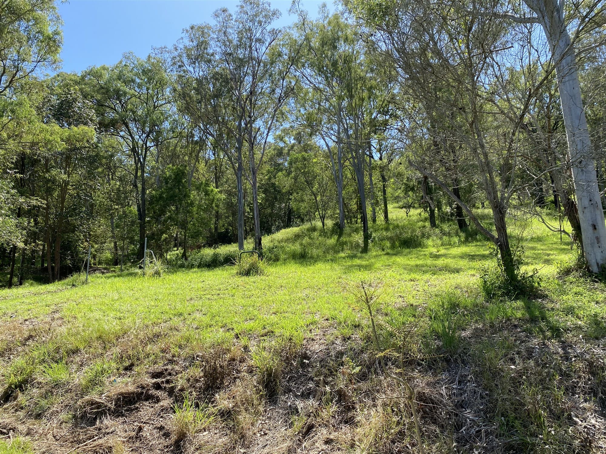 75-81 Buena Vista Drive LOGAN VILLAGE, QLD, Logan Village - Thumbnail 2