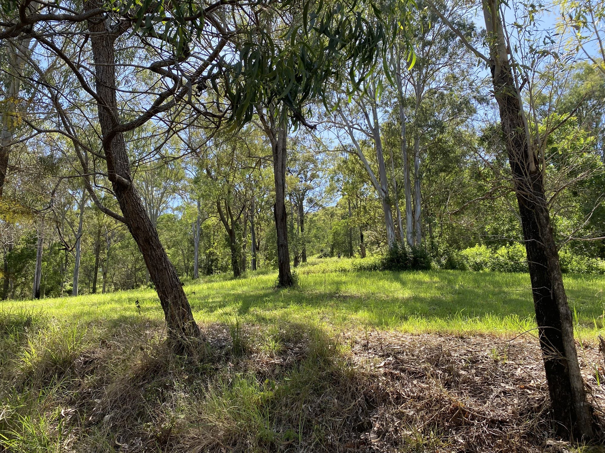 75-81 Buena Vista Drive LOGAN VILLAGE, QLD, Logan Village - Thumbnail 4