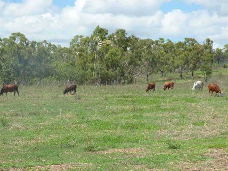 BOWEN, QLD, Bowen - Image 1