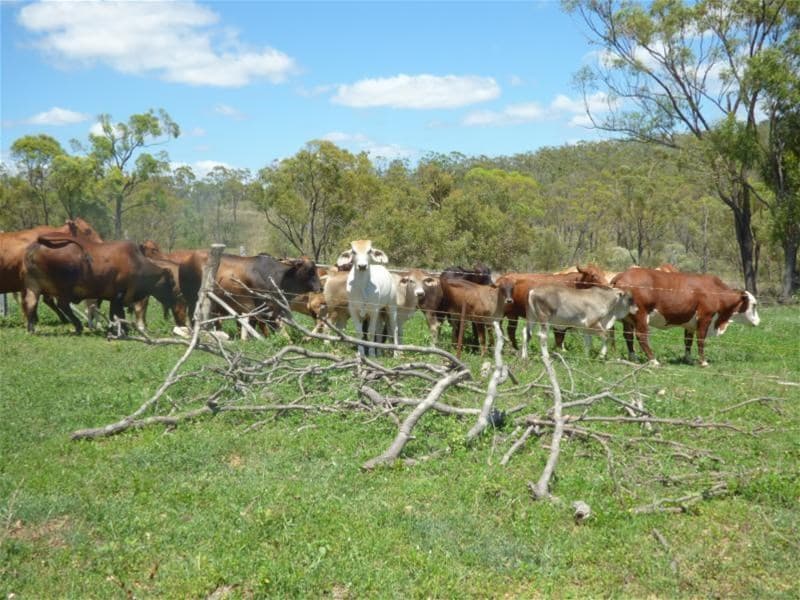 BOWEN, QLD, Bowen - Thumbnail 7