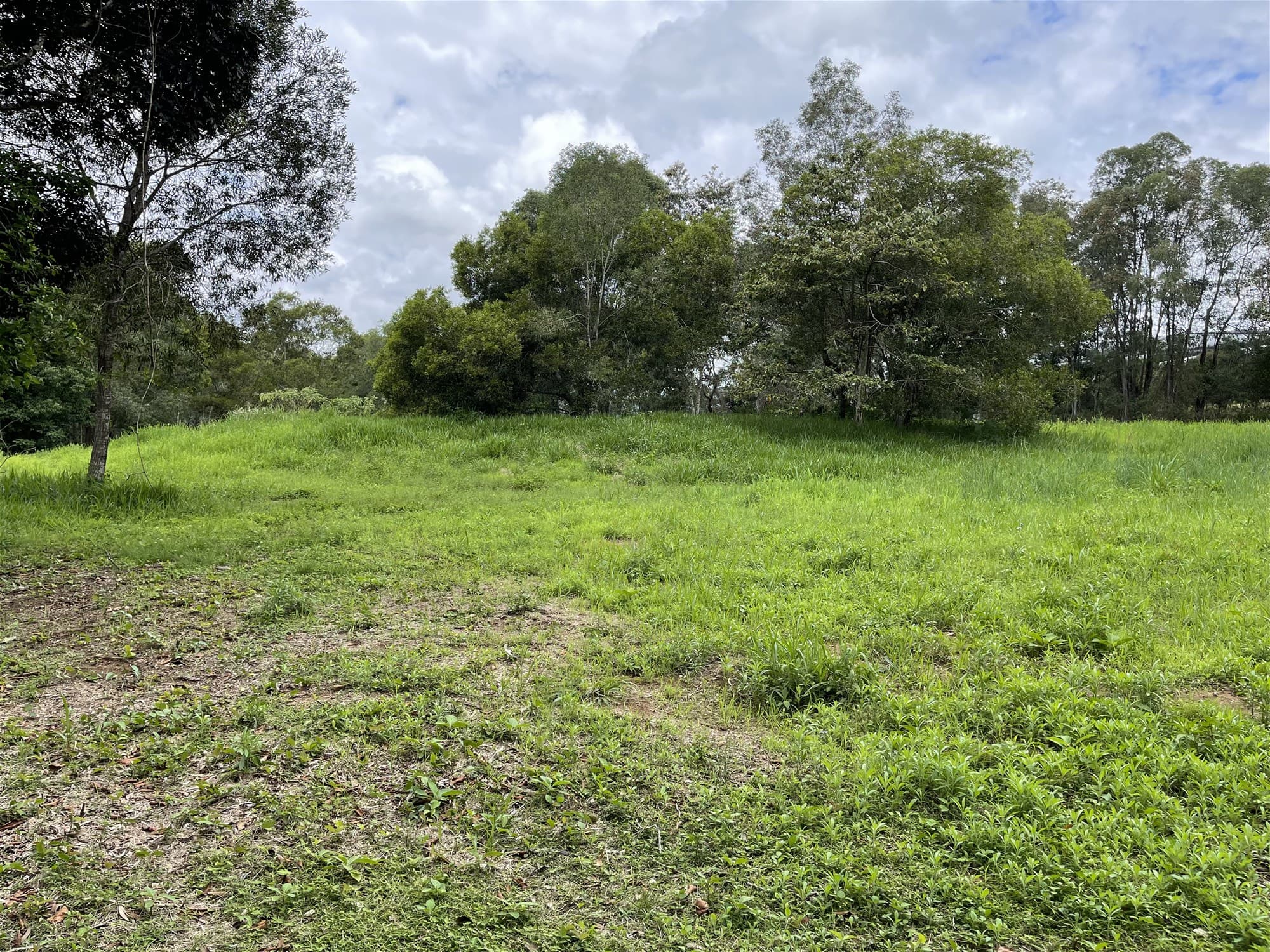 66 Basin Road WAMURAN BASIN, QLD, Wamuran Basin - Thumbnail 4