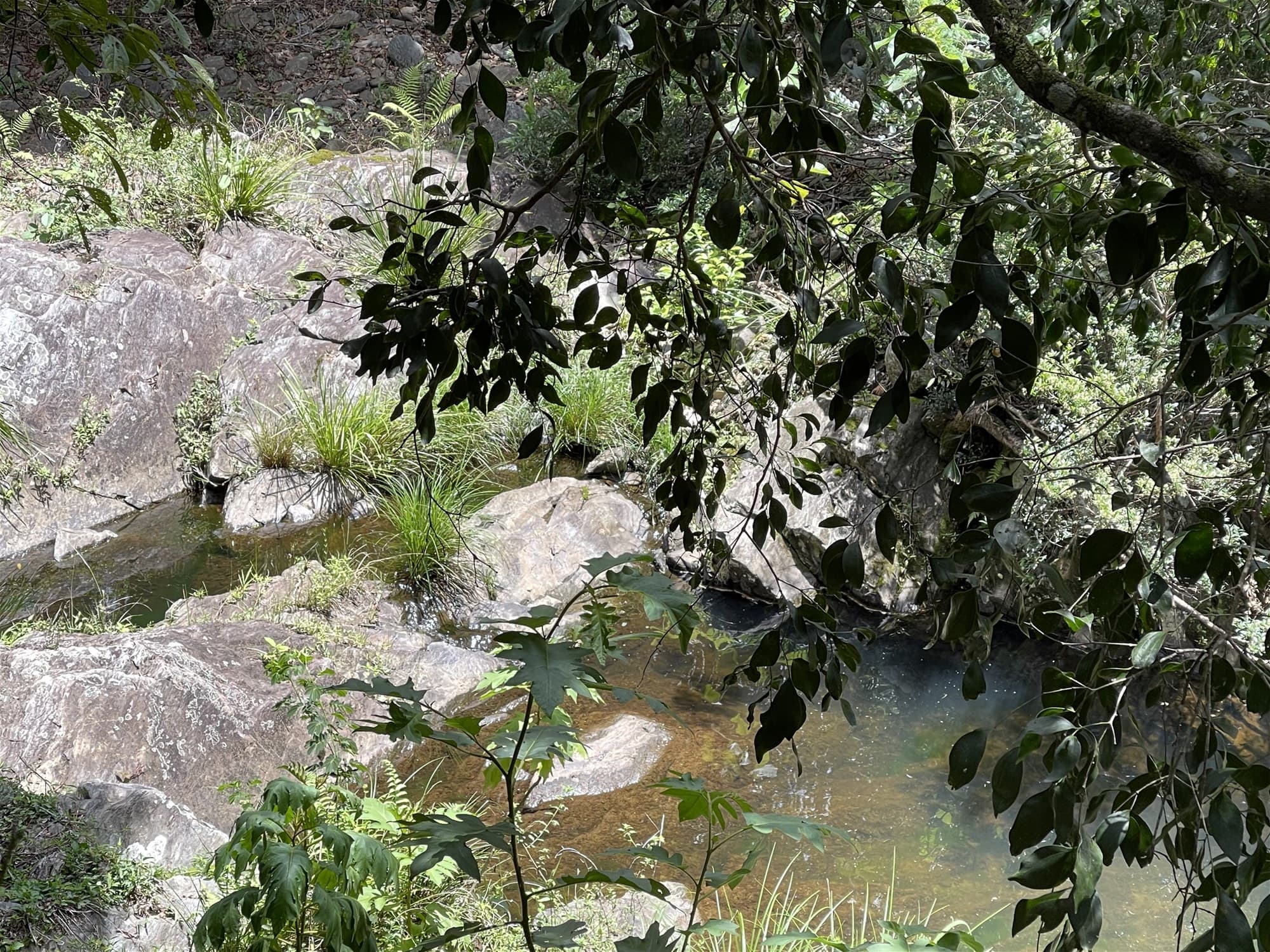 66 Basin Road WAMURAN BASIN, QLD, Wamuran Basin - Thumbnail 6