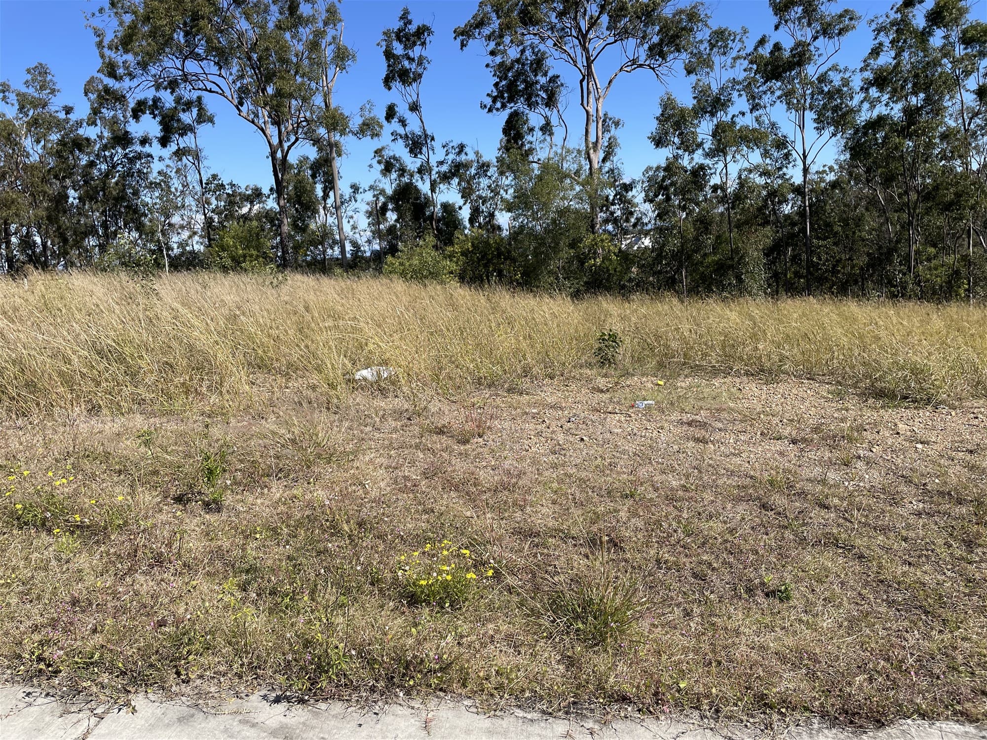 12 Rowning Court KARALEE, QLD, Karalee - Thumbnail 7