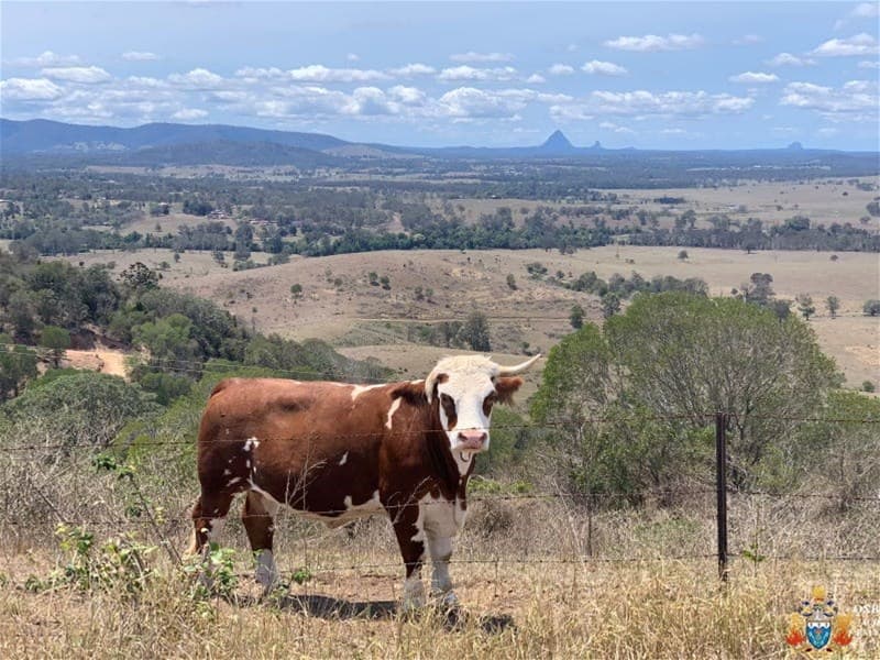 11A Alma Court VILLENEUVE, QLD, Villeneuve - Thumbnail 4