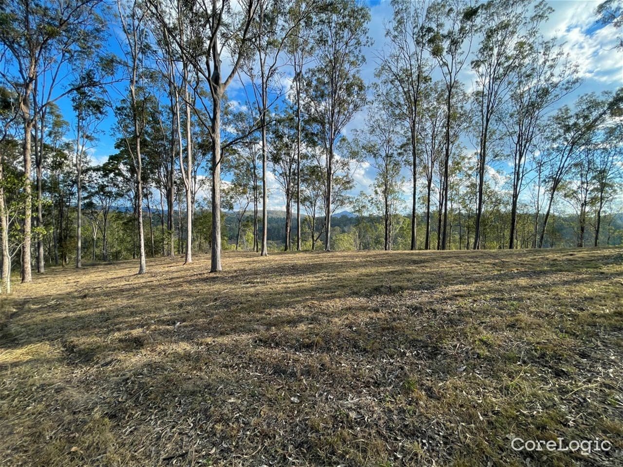 29 Muirhead Close KOORALBYN, QLD, Kooralbyn - Image 1