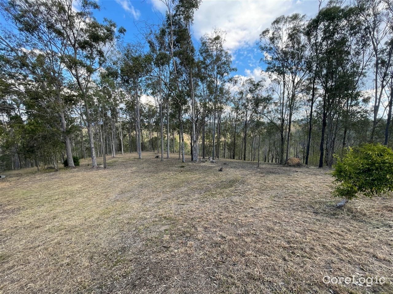 29 Muirhead Close KOORALBYN, QLD, Kooralbyn - Thumbnail 3