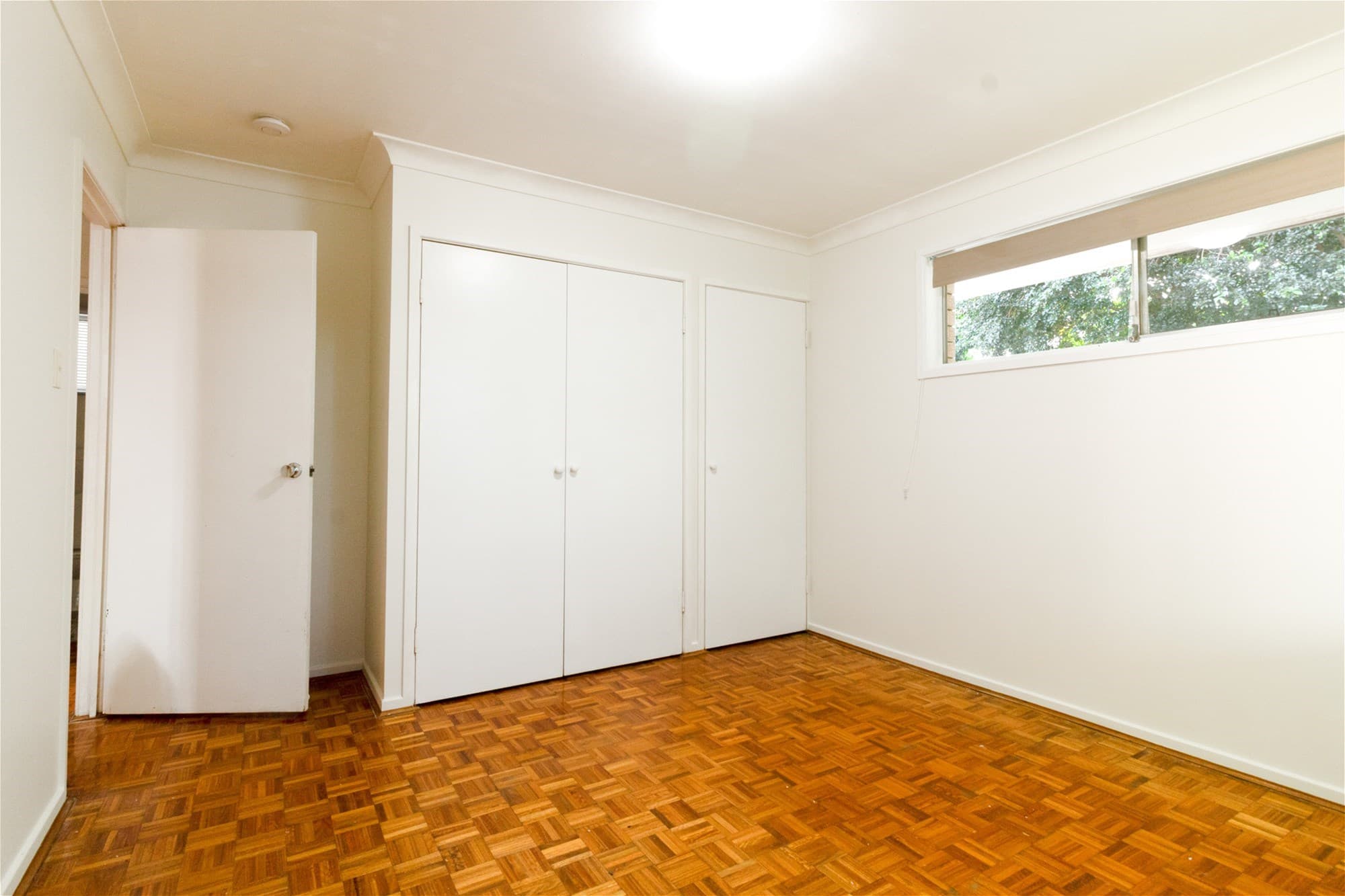 27 Veronica Ave DAISY HILL, QLD, Daisy Hill - Thumbnail 5