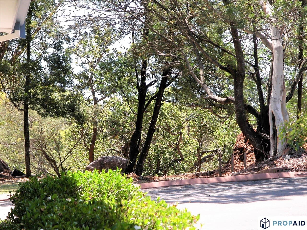 48 Colbran Ave KENTHURST, NSW, Kenthurst - Thumbnail 5
