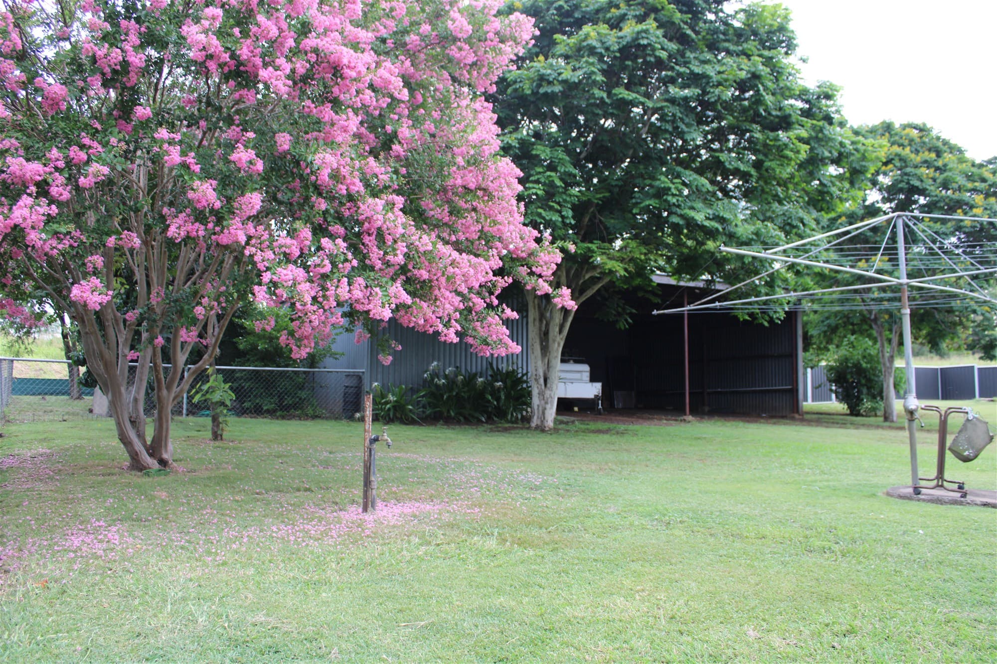 6706 Cunningham Highway ARATULA, QLD, Aratula - Thumbnail 8