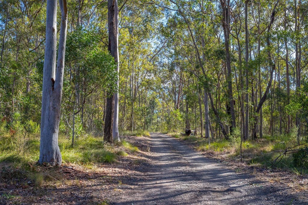 Lot 283 Tunstall Road CHARLWOOD, QLD, Charlwood - Thumbnail 3