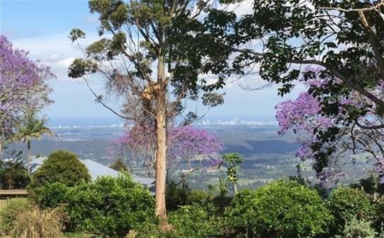 4-20 Witherby Crescent TAMBORINE MOUNTAIN, QLD, Tamborine Mountain - Thumbnail 3