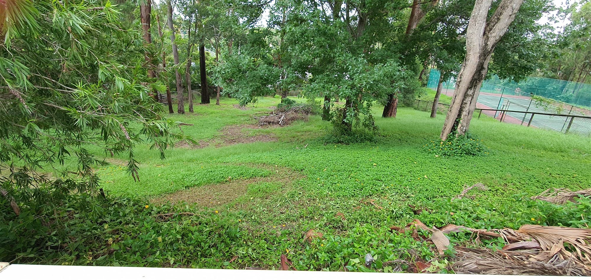 38 Hillview Parade ASHMORE, QLD, Ashmore - Thumbnail 3