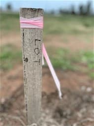 TAIGUM, QLD, Taigum - Thumbnail 7