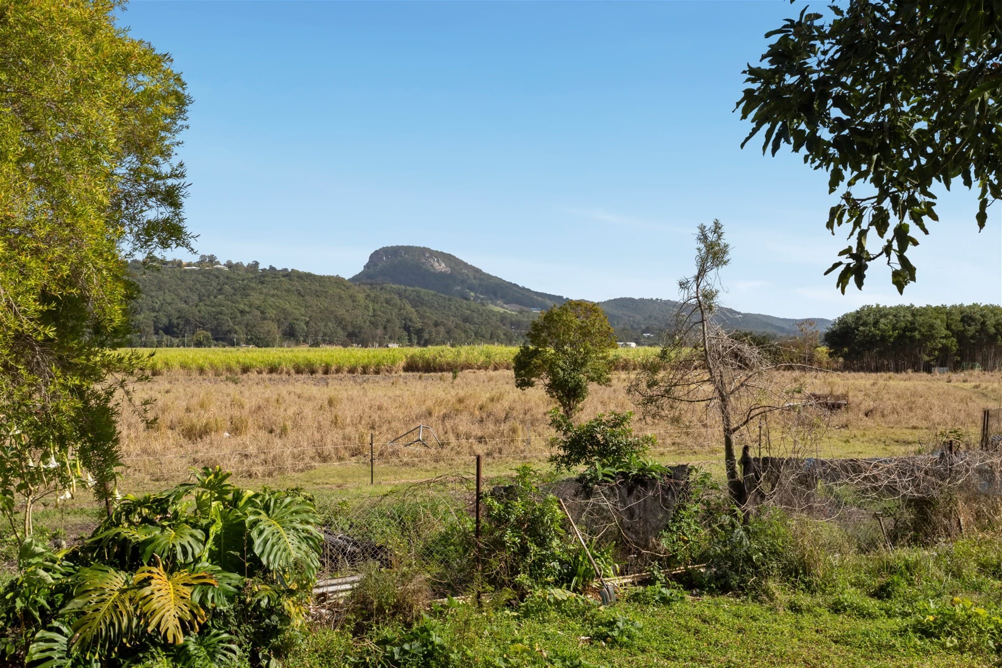 1011 Yandina Coolum Road MAROOCHY RIVER, QLD, Maroochy River - Thumbnail 4