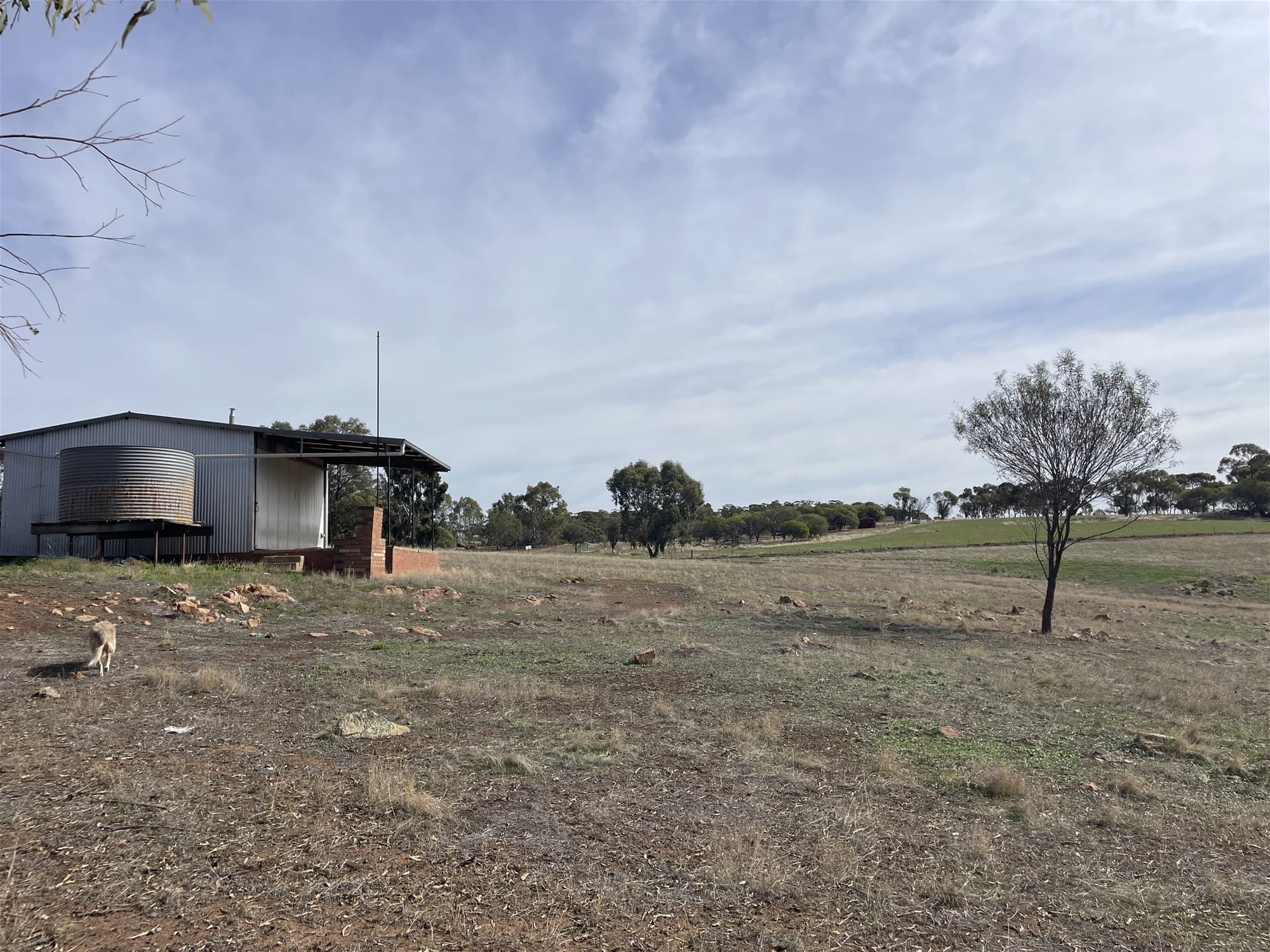 42 Ferguson Road COONDLE, WA, Coondle - Thumbnail 4