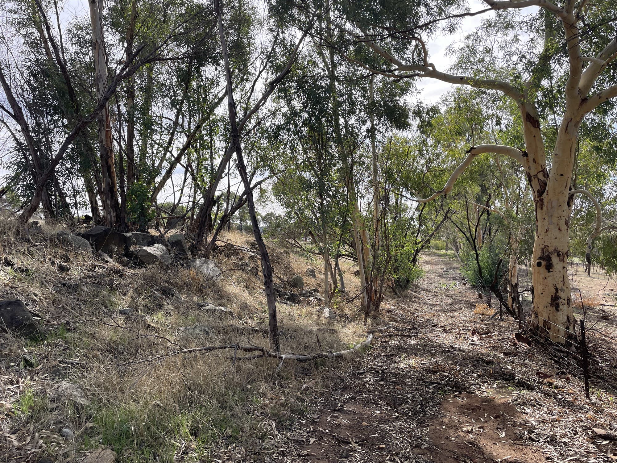 42 Ferguson Road COONDLE, WA, Coondle - Thumbnail 5