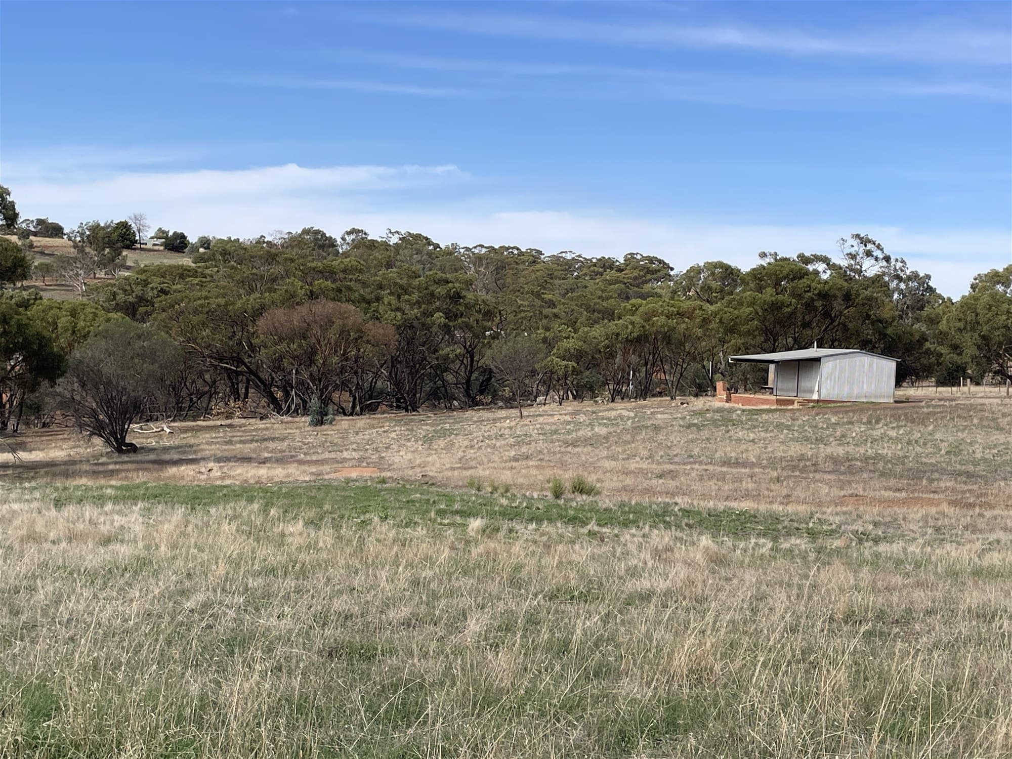 42 Ferguson Road COONDLE, WA, Coondle - Image 1