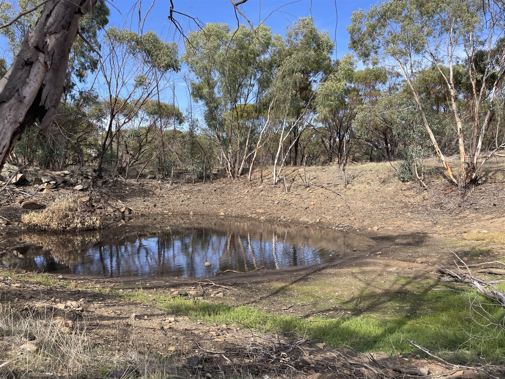 42 Ferguson Road COONDLE, WA, Coondle - Thumbnail 2