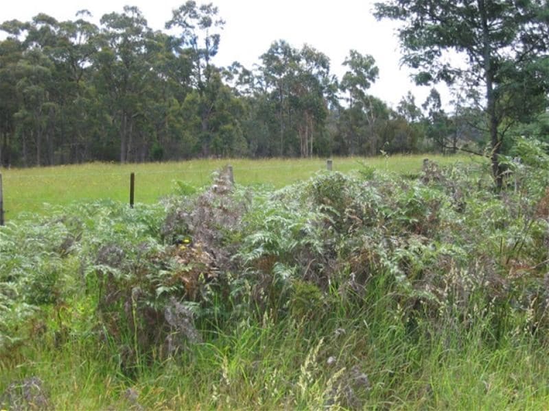 73 High Street, New Norfolk, TAS, 7140, Lachlan - Image 1