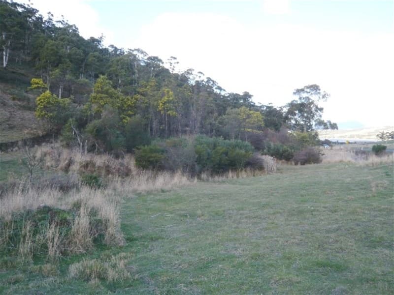 DROMEDARY, TAS, Dromedary - Image 1