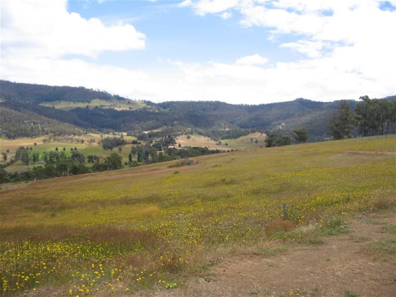 59 Menzies Road LACHLAN, TAS, Lachlan - Image 1