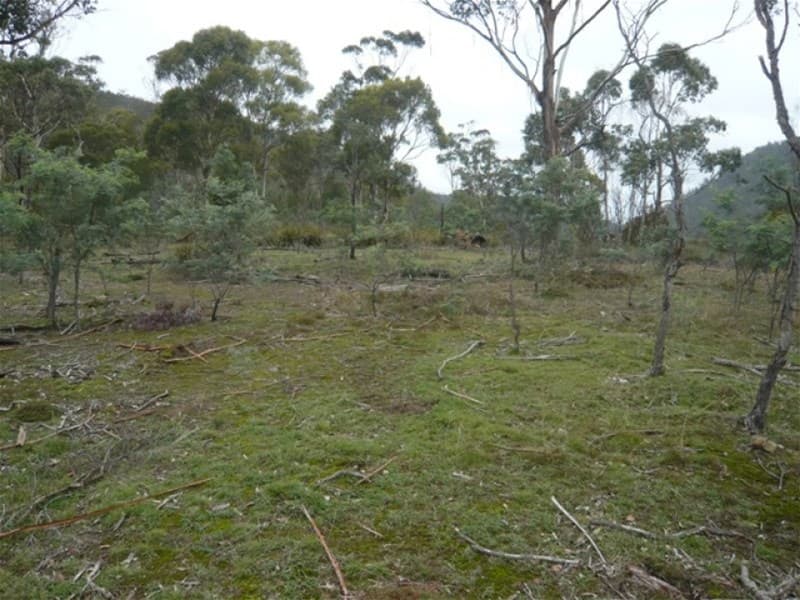 Plenty Valley Road PLENTY, TAS, Plenty - Image 1