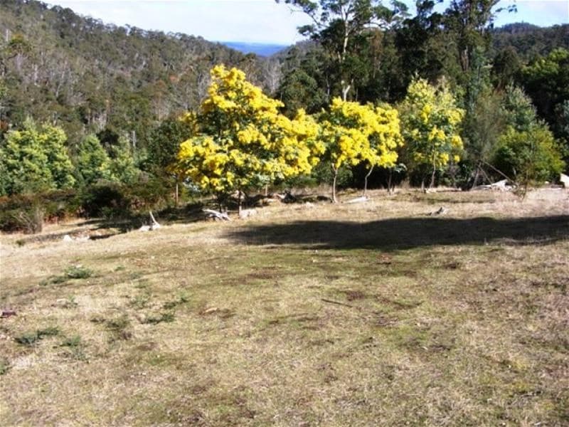 75 Blackwells Road MAGRA, TAS, Magra - Image 1
