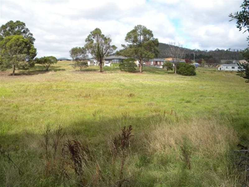 37 Lower Rd NEW NORFOLK, TAS, New Norfolk - Image 1