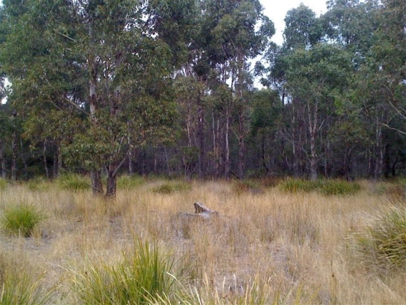 Strickland Road OUSE, TAS, Ouse - Image 1