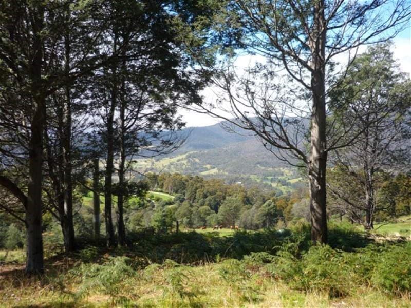 Top Swamp Road LACHLAN, TAS, Lachlan - Image 1